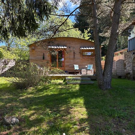 Chalet Grenouille Domaine De La Mamounette Champclause Exterior foto
