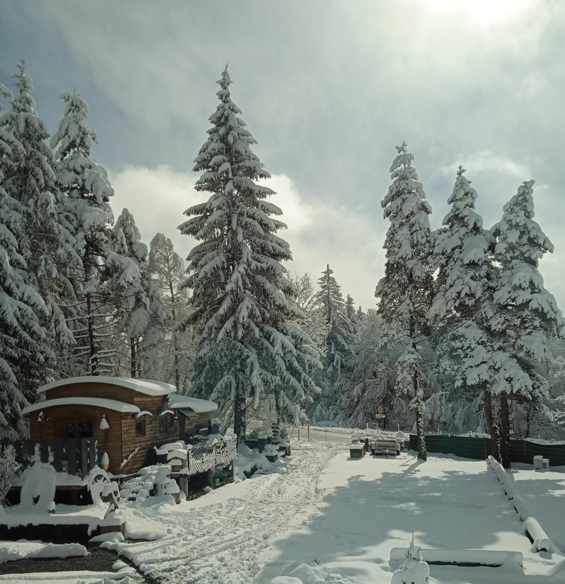 Chalet Grenouille Domaine De La Mamounette Champclause Exterior foto
