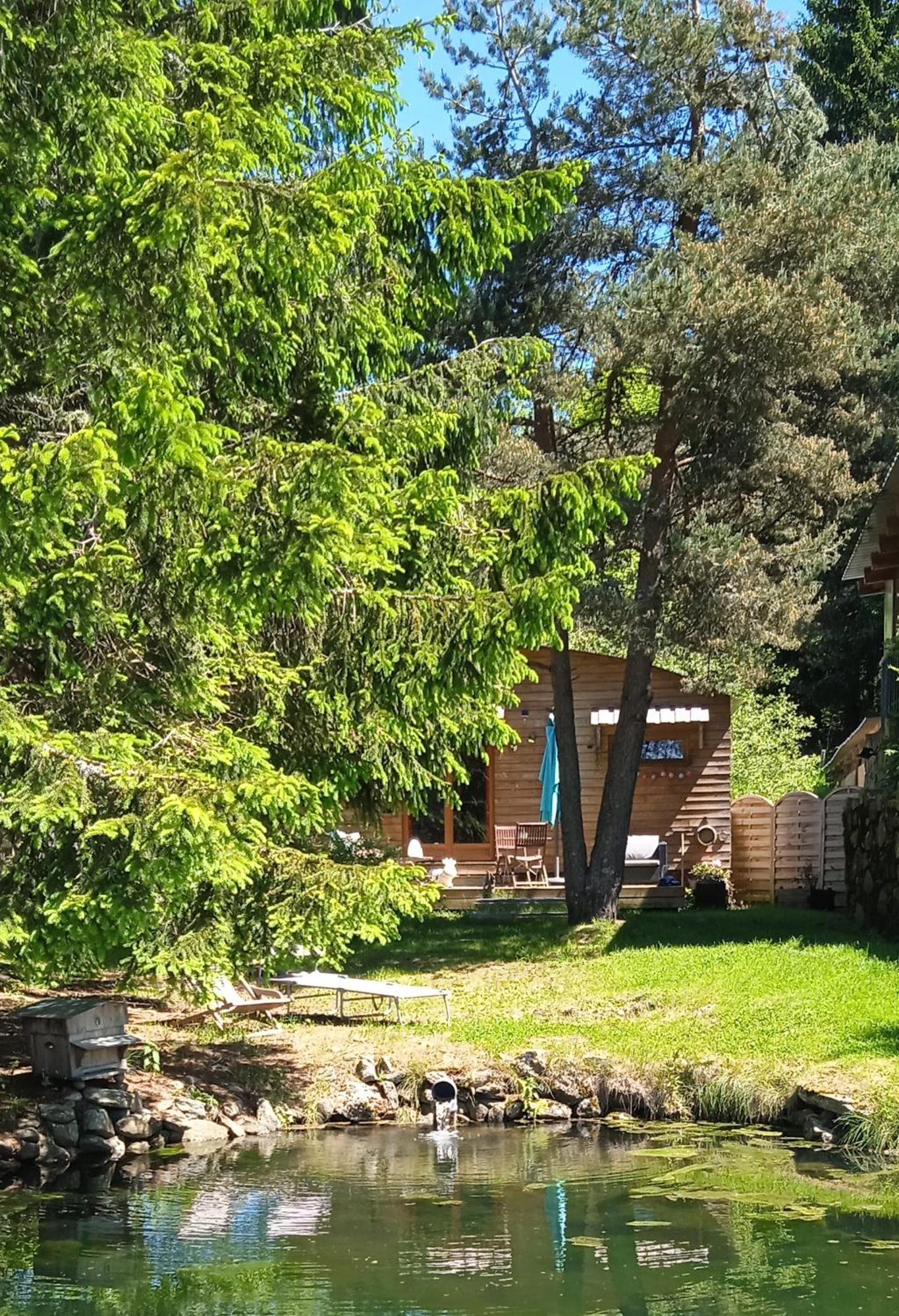 Chalet Grenouille Domaine De La Mamounette Champclause Exterior foto